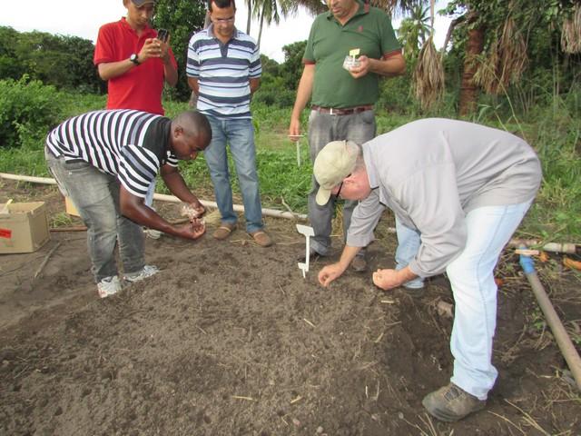 Prefeitura de Ipiranga Realiza Parceria Para Produção de Alho - Imagem 39