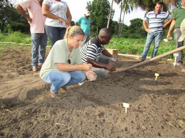 Prefeitura de Ipiranga Realiza Parceria Para Produção de Alho - Imagem 45