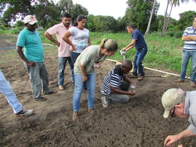 Prefeitura de Ipiranga Realiza Parceria Para Produção de Alho - Imagem 43