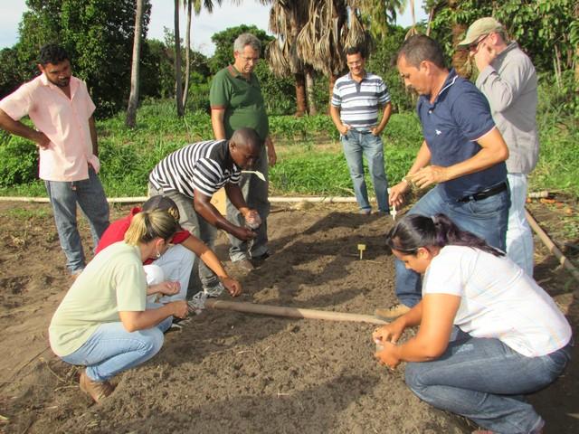 Prefeitura de Ipiranga Realiza Parceria Para Produção de Alho - Imagem 47