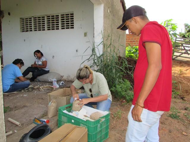 Prefeitura de Ipiranga Realiza Parceria Para Produção de Alho - Imagem 33