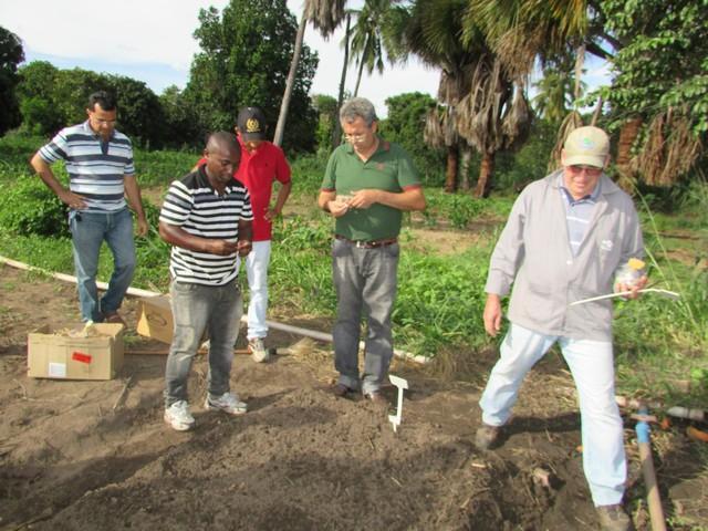 Prefeitura de Ipiranga Realiza Parceria Para Produção de Alho - Imagem 35