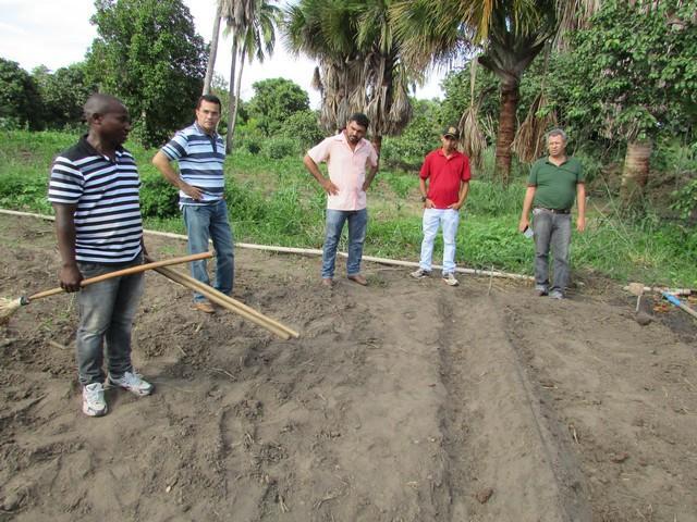 Prefeitura de Ipiranga Realiza Parceria Para Produção de Alho - Imagem 20