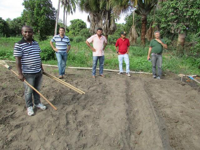 Prefeitura de Ipiranga Realiza Parceria Para Produção de Alho - Imagem 19