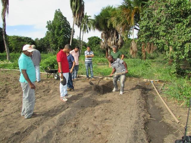 Prefeitura de Ipiranga Realiza Parceria Para Produção de Alho - Imagem 25