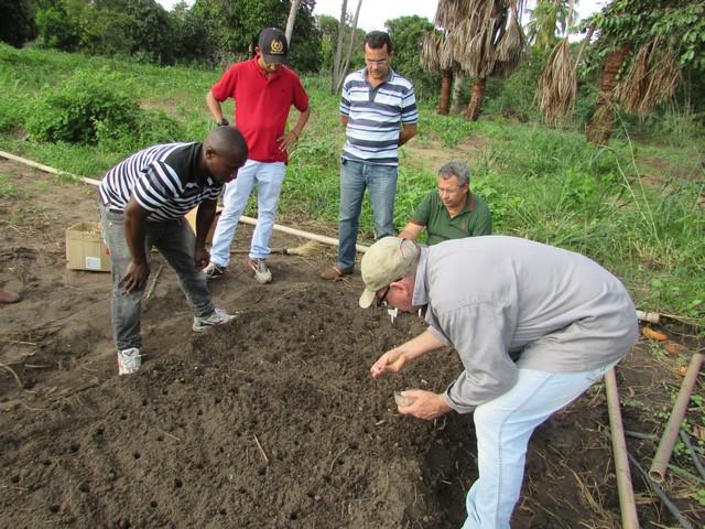 Prefeitura de Ipiranga Realiza Parceria Para Produção de Alho - Imagem 42