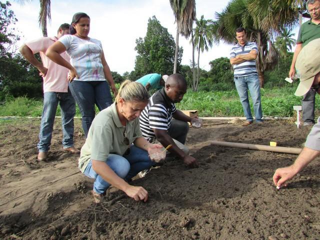 Prefeitura de Ipiranga Realiza Parceria Para Produção de Alho - Imagem 44