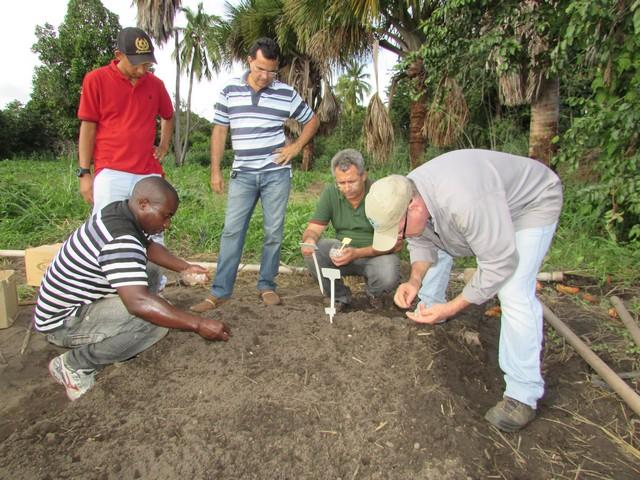 Prefeitura de Ipiranga Realiza Parceria Para Produção de Alho - Imagem 40