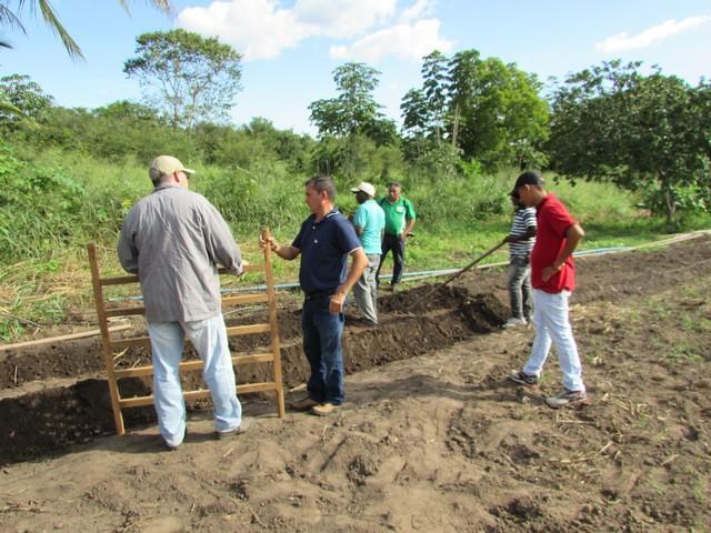 Prefeitura de Ipiranga Realiza Parceria Para Produção de Alho - Imagem 31