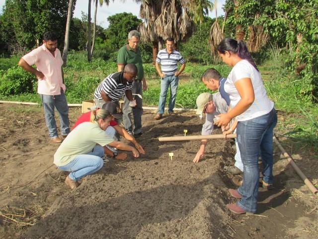Prefeitura de Ipiranga Realiza Parceria Para Produção de Alho - Imagem 46