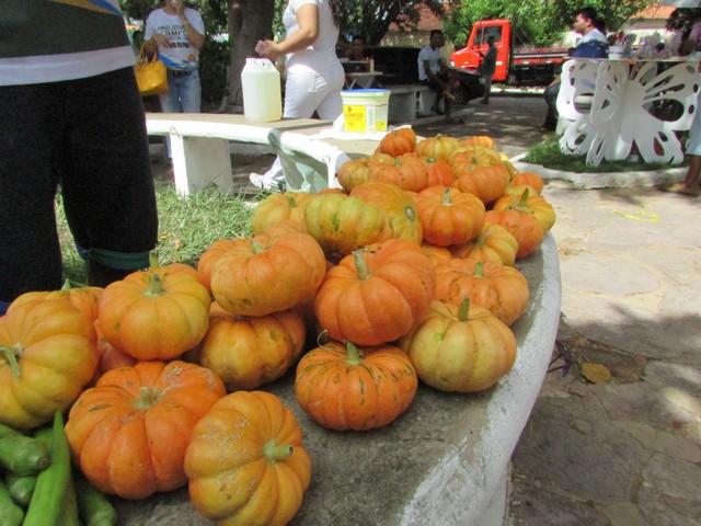 I Feira Solidária Projovem Campo Foi Realizada em Ipiranga - Imagem 8