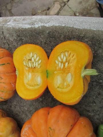 I Feira Solidária Projovem Campo Foi Realizada em Ipiranga - Imagem 17