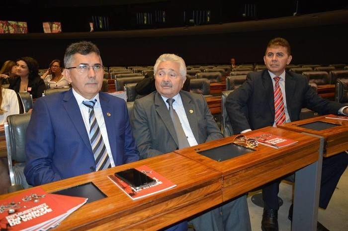 Batalha do Jenipapo é tema de sessão na Câmara dos Deputados - Imagem 4