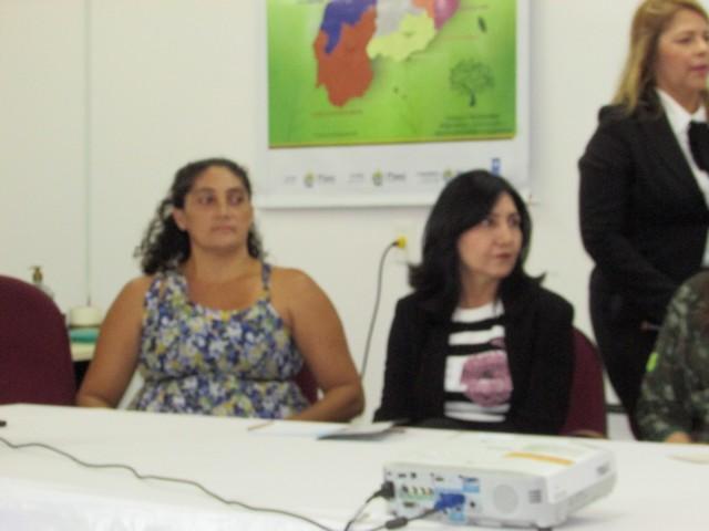 Ipiranga Participa da Elaboração do Plano Estadual de Segurança - Imagem 17