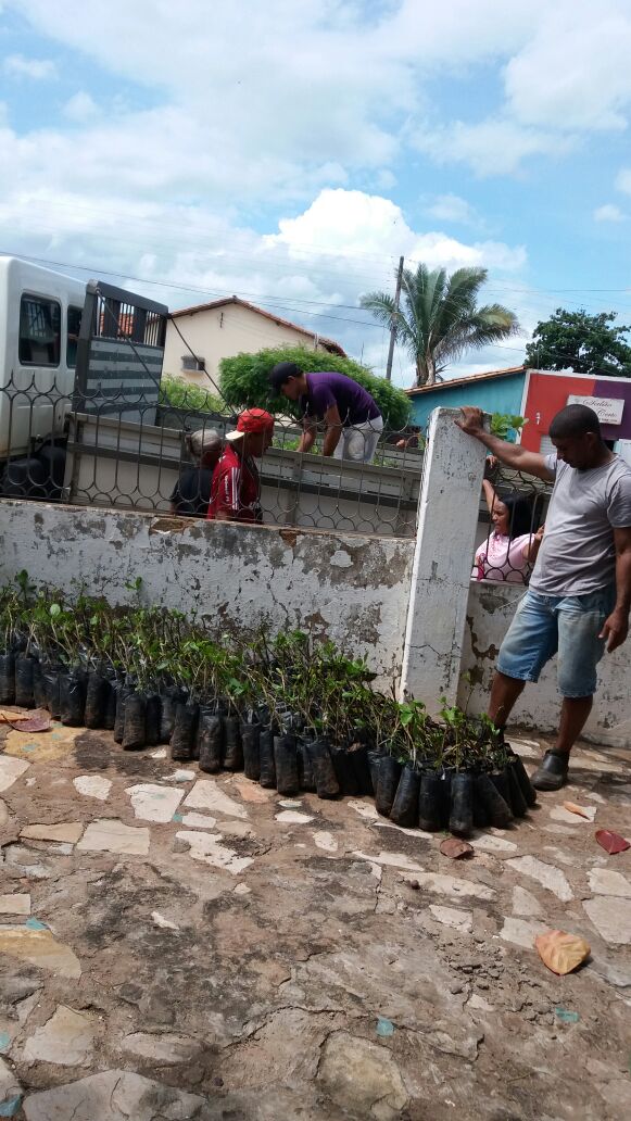 Entrega de sementes e mudas para agricultores locais - Imagem 2
