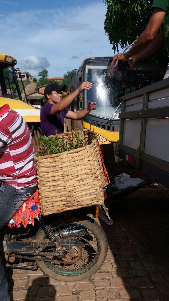 Entrega de sementes e mudas para agricultores locais - Imagem 4