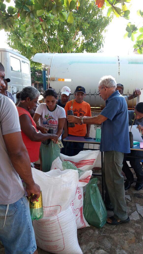 Entrega de sementes e mudas para agricultores locais - Imagem 6