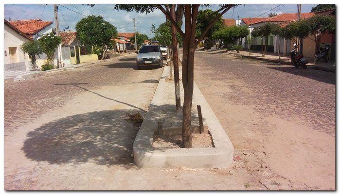 Avenida Castelo Branco passa por reforma e podagem  - Imagem 12