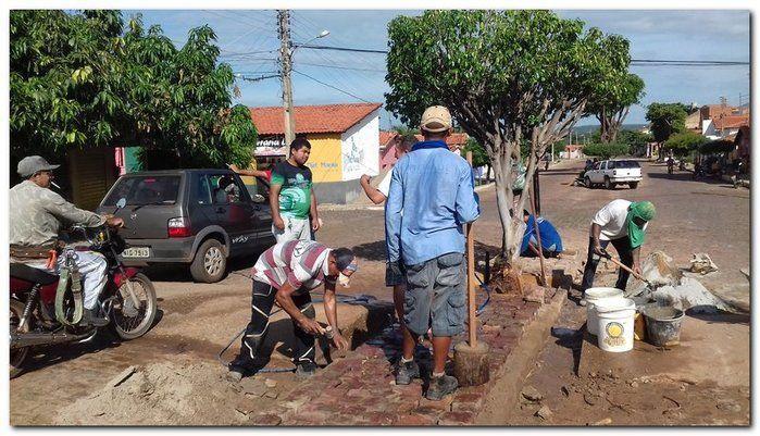 Avenida Castelo Branco passa por reforma e podagem  - Imagem 3