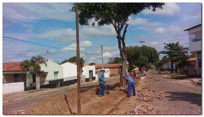 Avenida Castelo Branco passa por reforma e podagem  - Imagem 9