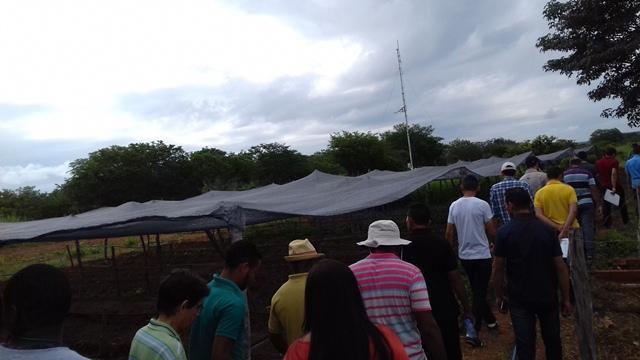 Secretário de Agricultura e EMATER de DEL participam de capacitação - Imagem 57