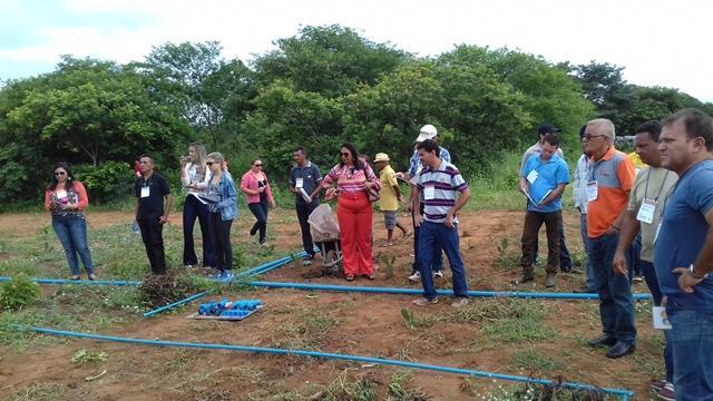 Secretário de Agricultura e EMATER de DEL participam de capacitação - Imagem 62