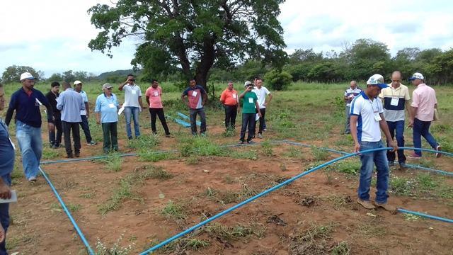 Secretário de Agricultura e EMATER de DEL participam de capacitação - Imagem 58