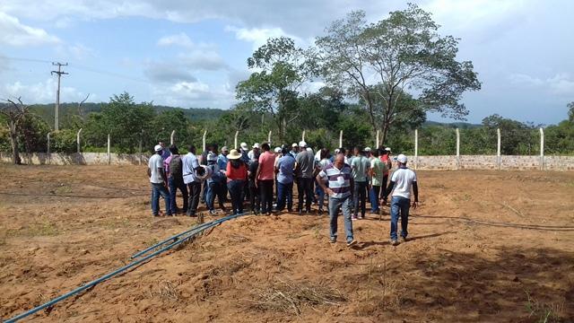 Secretário de Agricultura e EMATER de DEL participam de capacitação - Imagem 156