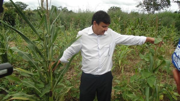 Governador Wellington Dias visita Santo Inácio do Piauí   - Imagem 14