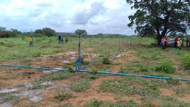 Secretário de Agricultura e EMATER de DEL participam de capacitação - Imagem 107