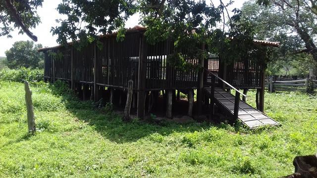 Secretário de Agricultura e EMATER de DEL participam de capacitação - Imagem 134