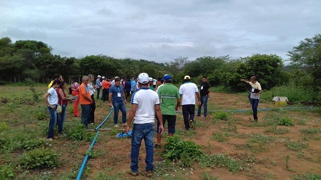 Secretário de Agricultura e EMATER de DEL participam de capacitação - Imagem 73