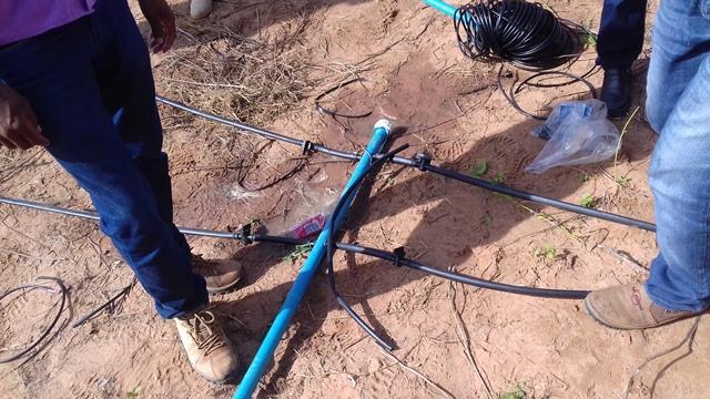 Secretário de Agricultura e EMATER de DEL participam de capacitação - Imagem 158