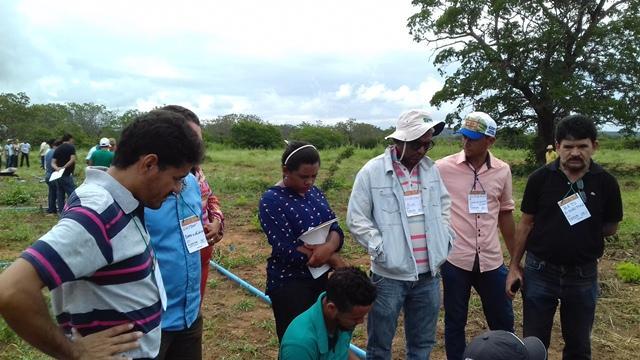 Secretário de Agricultura e EMATER de DEL participam de capacitação - Imagem 82