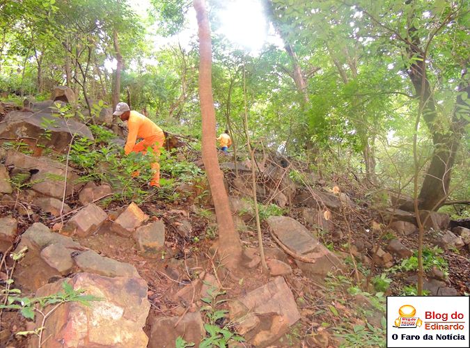 Município realiza roço e recolhe lixo no Pirapora - Imagem 6