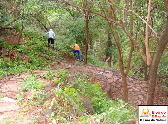 Município realiza roço e recolhe lixo no Pirapora - Imagem 5