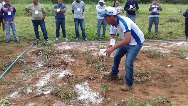 Secretário de Agricultura e EMATER de DEL participam de capacitação - Imagem 66