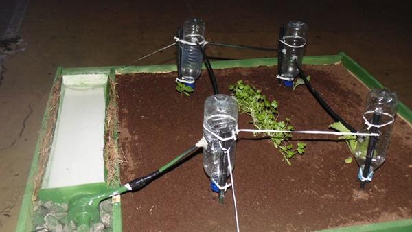 Competições e apresentação marca mais uma noite de evento   - Imagem 12