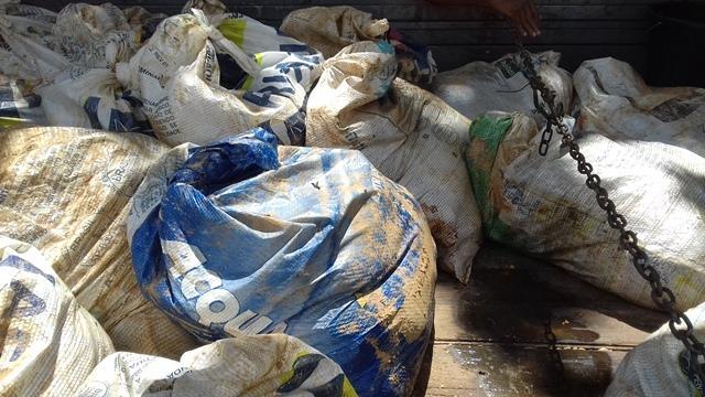 Dom Expedito Lopes faz a entrega de peixes para a população - Imagem 12