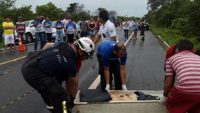 Carros perdem o controle, saem da pista e dois morrem na BR-343 - Imagem 5
