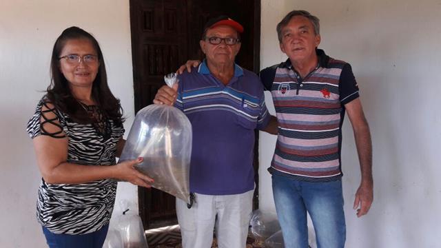 Prefeitura de Pimenteiras e SDR distribuem alevinos - Imagem 5