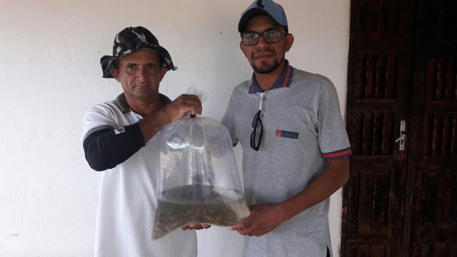 Prefeitura de Pimenteiras e SDR distribuem alevinos - Imagem 11