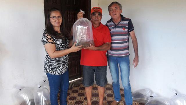 Prefeitura de Pimenteiras e SDR distribuem alevinos - Imagem 10