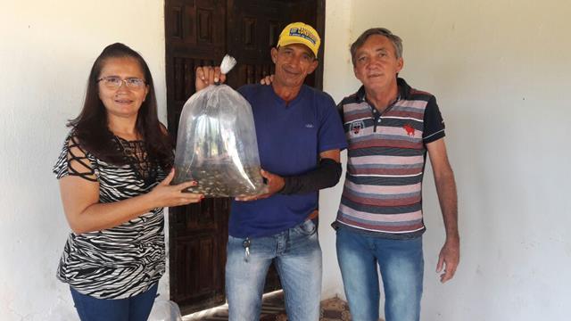 Prefeitura de Pimenteiras e SDR distribuem alevinos - Imagem 9