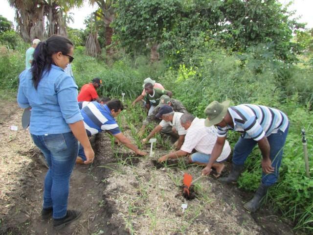 Projeto de Revitalização do Alho Realizou Capacitação - Imagem 38