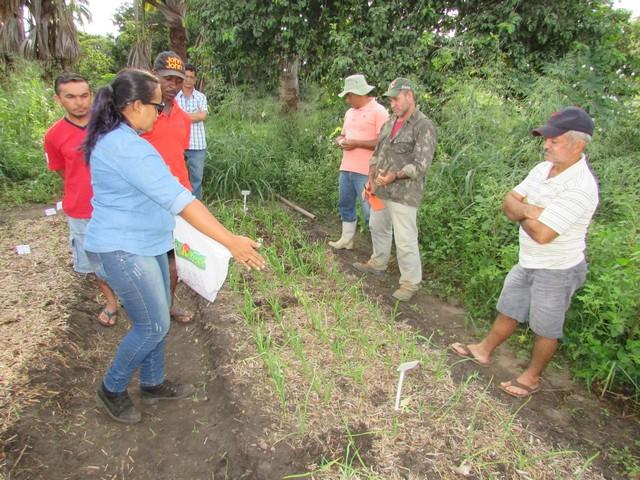 Projeto de Revitalização do Alho Realizou Capacitação - Imagem 35