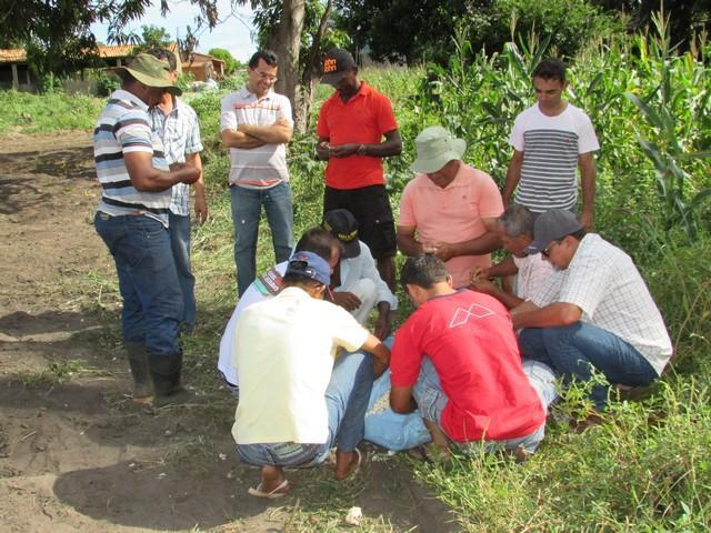 Projeto de Revitalização do Alho Realizou Capacitação - Imagem 80