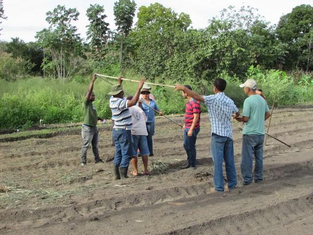 Projeto de Revitalização do Alho Realizou Capacitação - Imagem 64