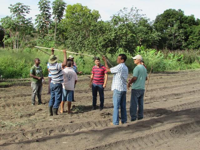Projeto de Revitalização do Alho Realizou Capacitação - Imagem 63