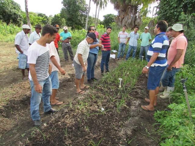 Projeto de Revitalização do Alho Realizou Capacitação - Imagem 50